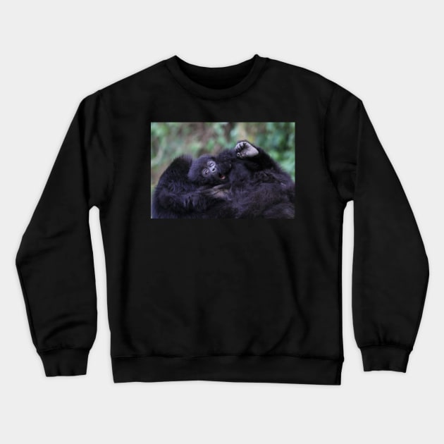 Baby Mountain Gorilla, Kwitonda Group, Rwanda, East Africa Crewneck Sweatshirt by Carole-Anne